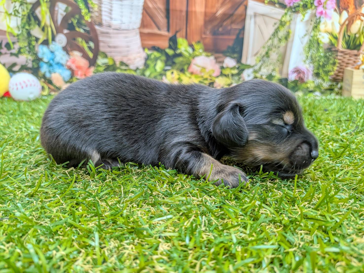 赤ちゃん写真1-2