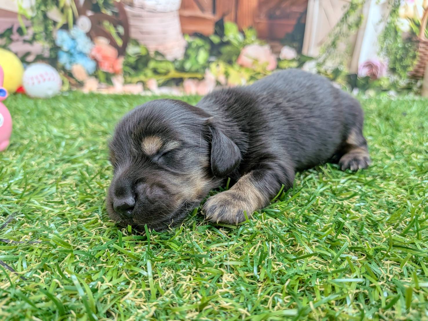 赤ちゃん写真1-3