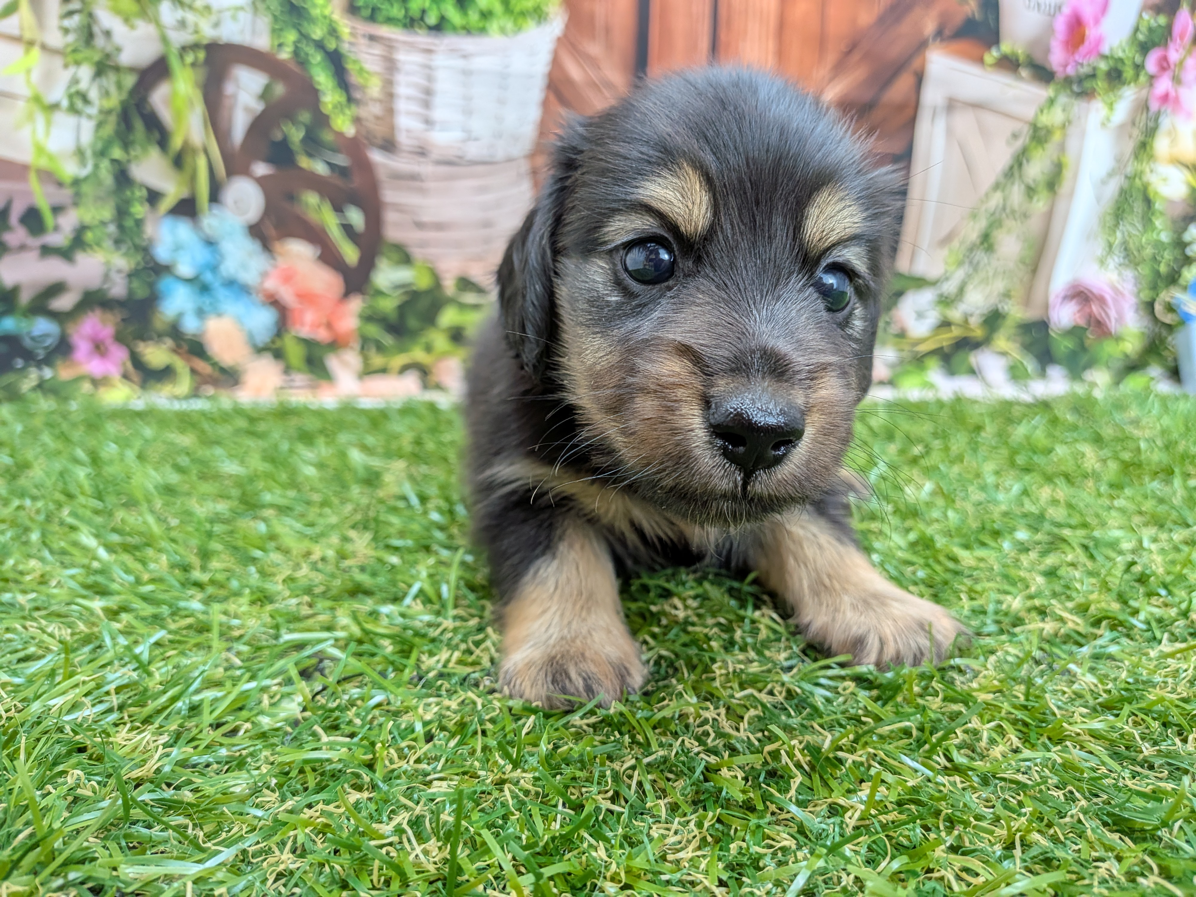 赤ちゃん写真2-1