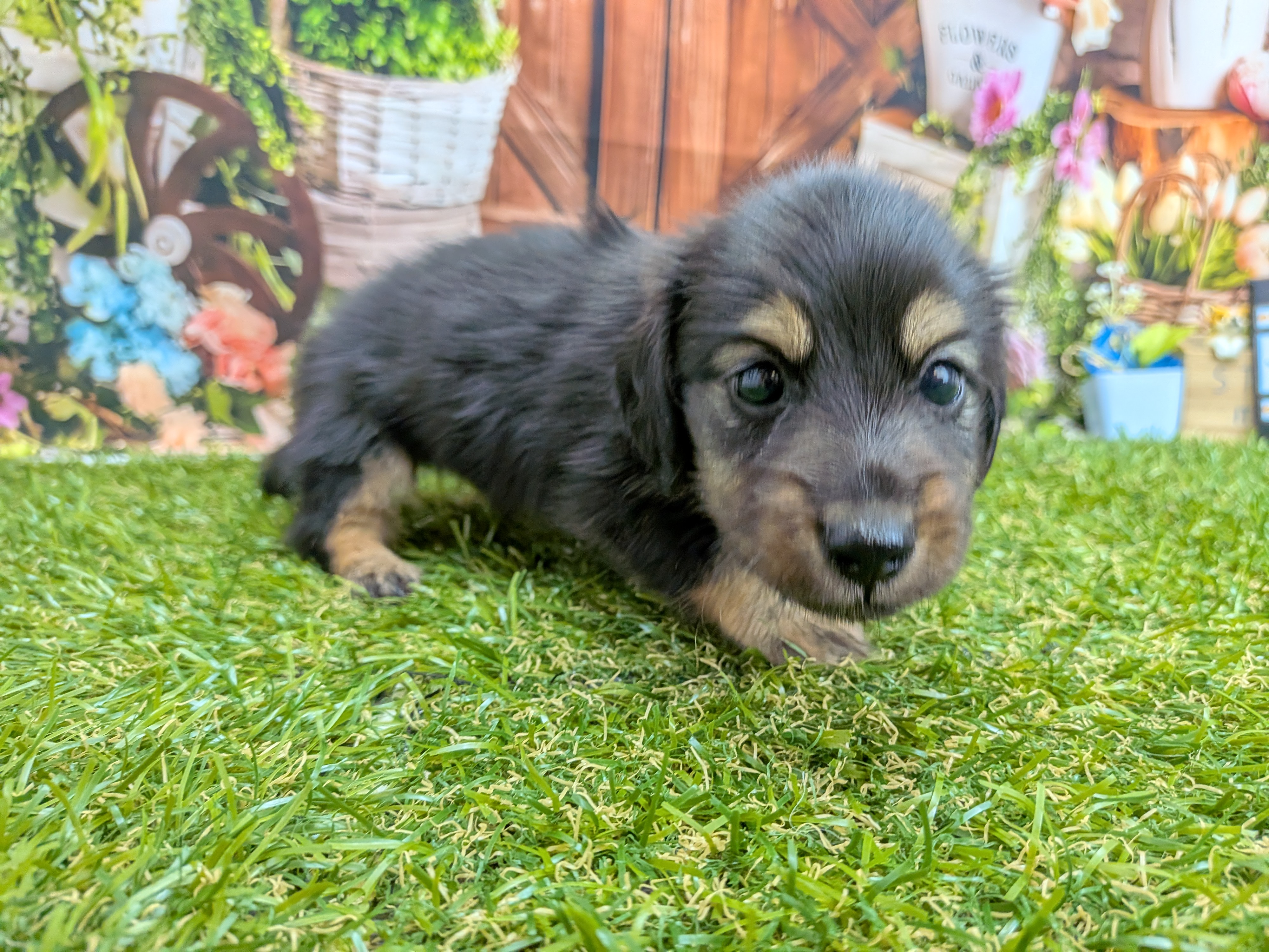 赤ちゃん写真2-2