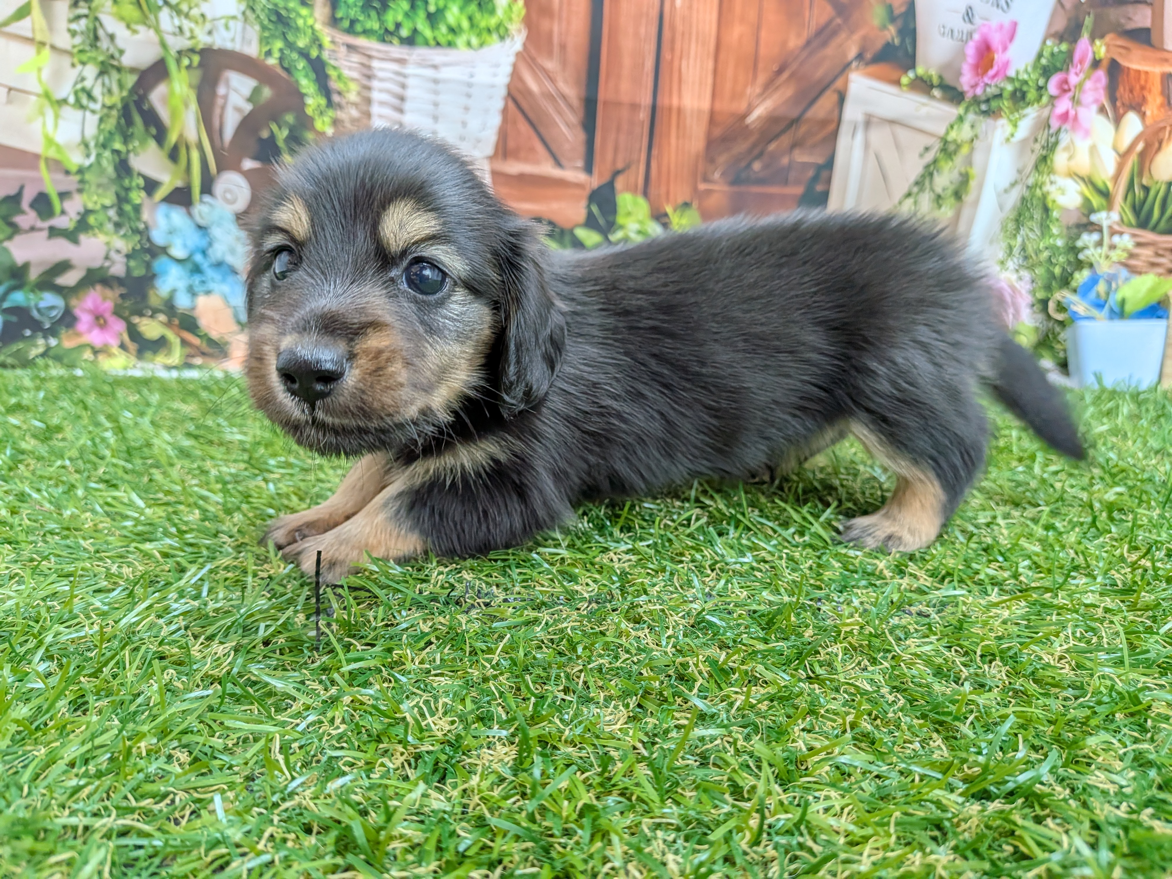 赤ちゃん写真2-3