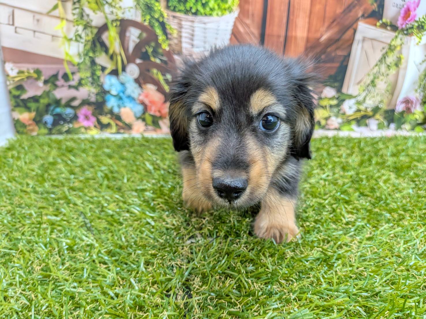 赤ちゃん写真3-1