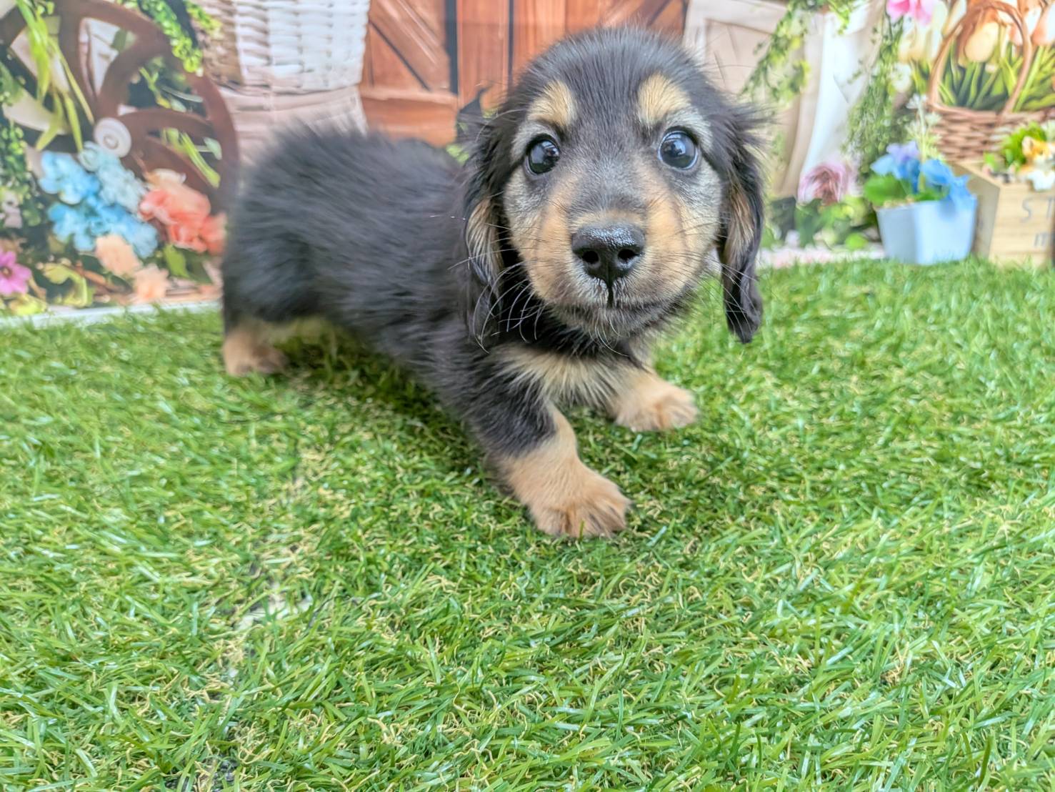 赤ちゃん写真3-2