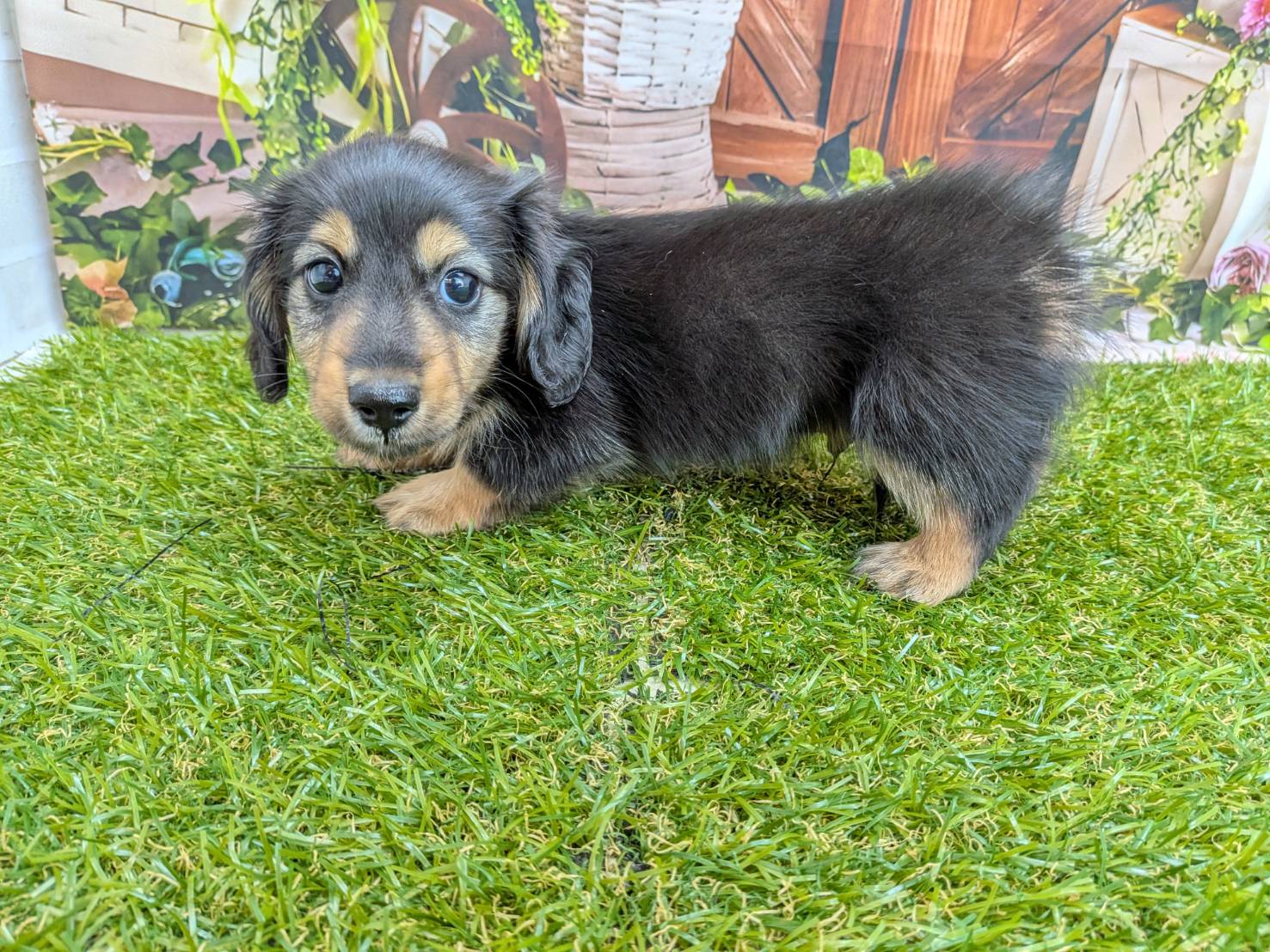 赤ちゃん写真3-3