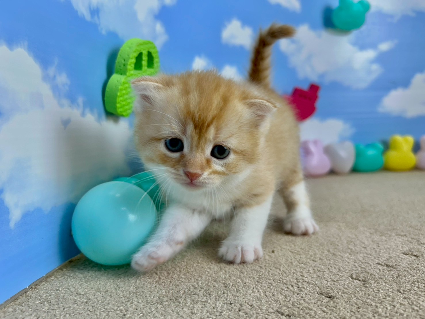 赤ちゃん写真1-1