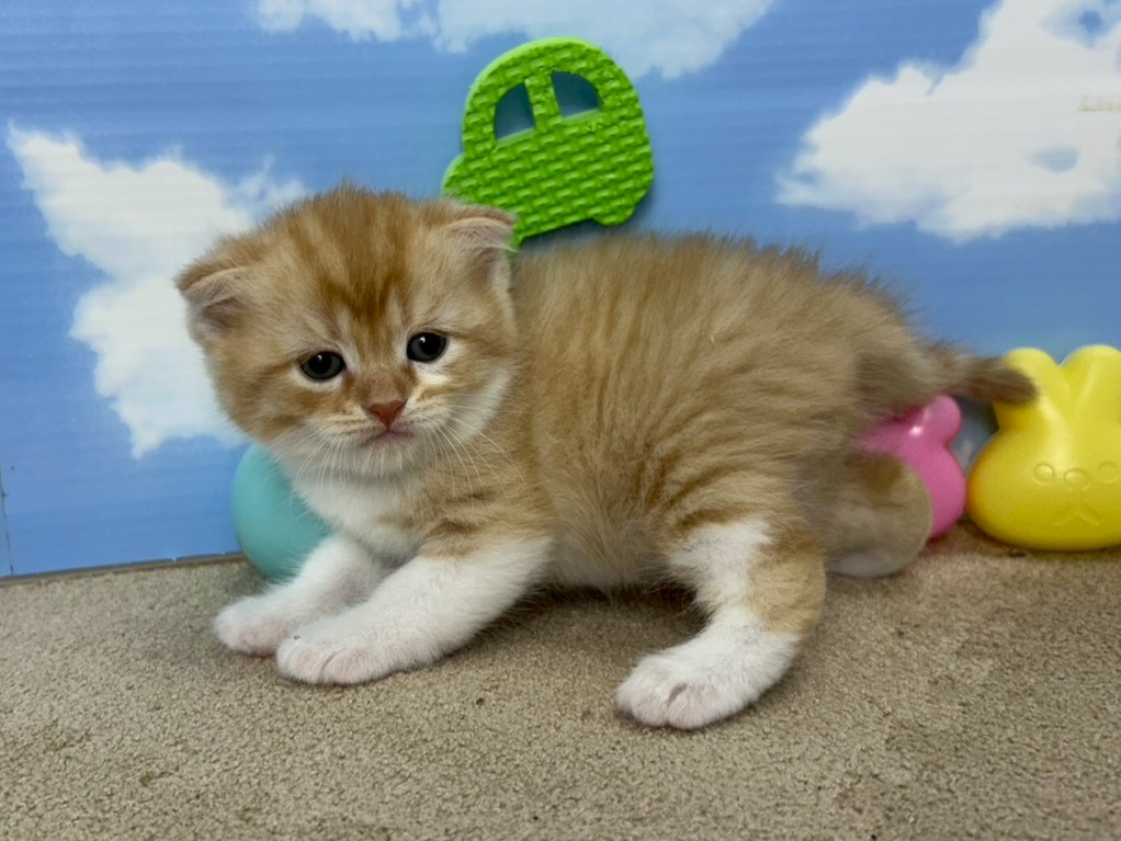 赤ちゃん写真1-2