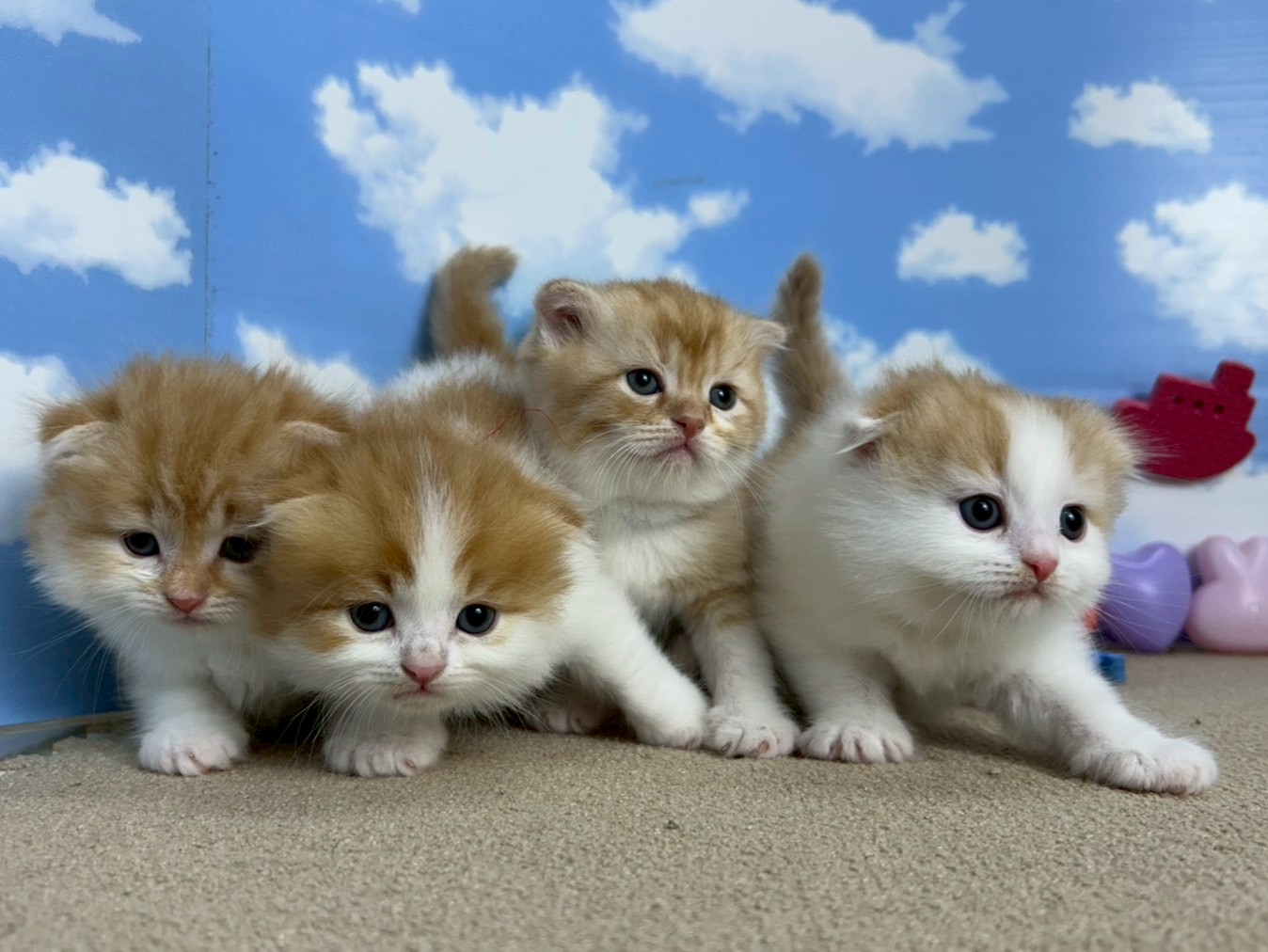 赤ちゃん写真1-3