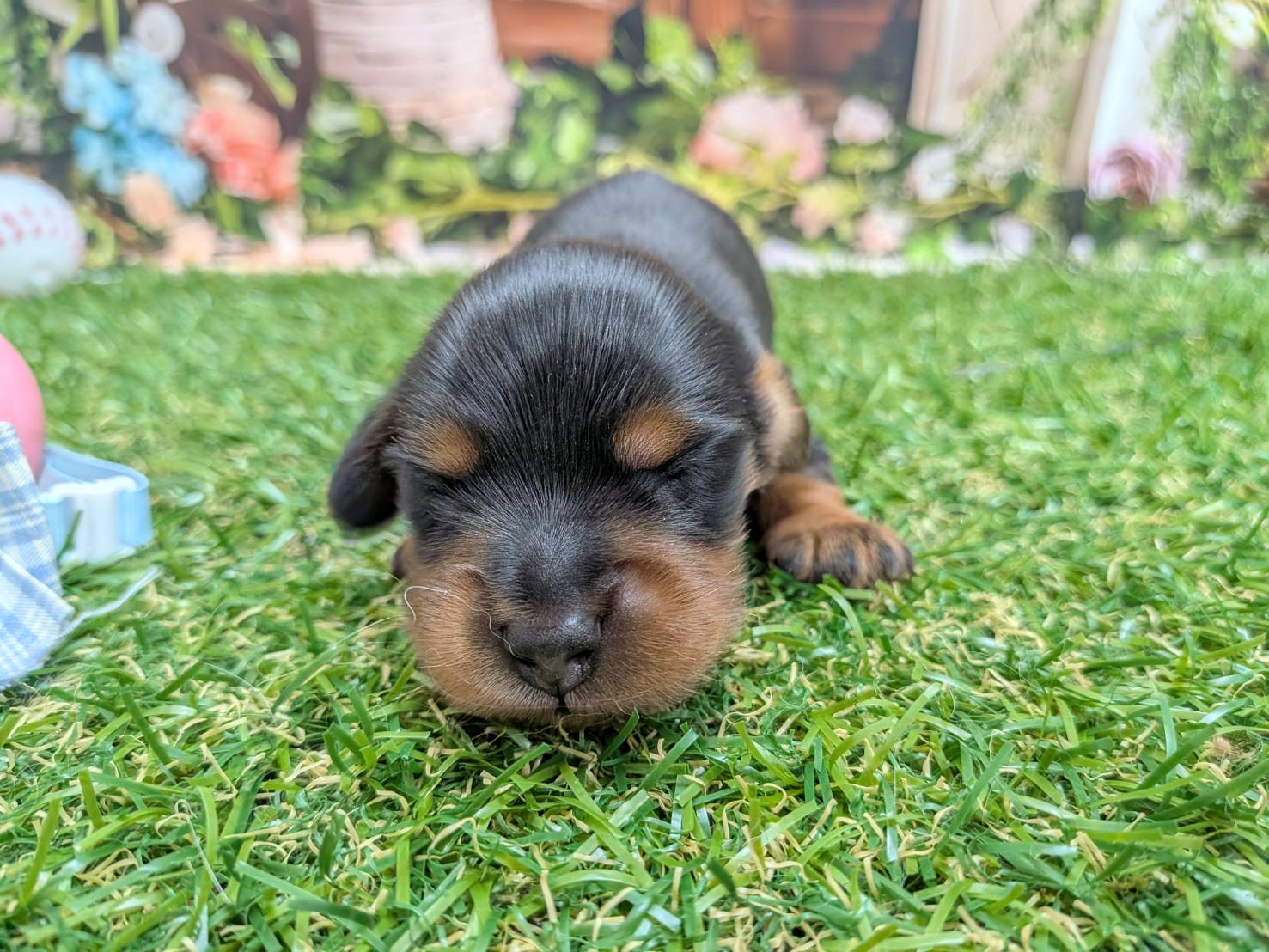 赤ちゃん写真1-1