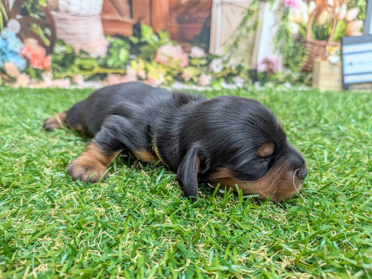 赤ちゃん写真1-2