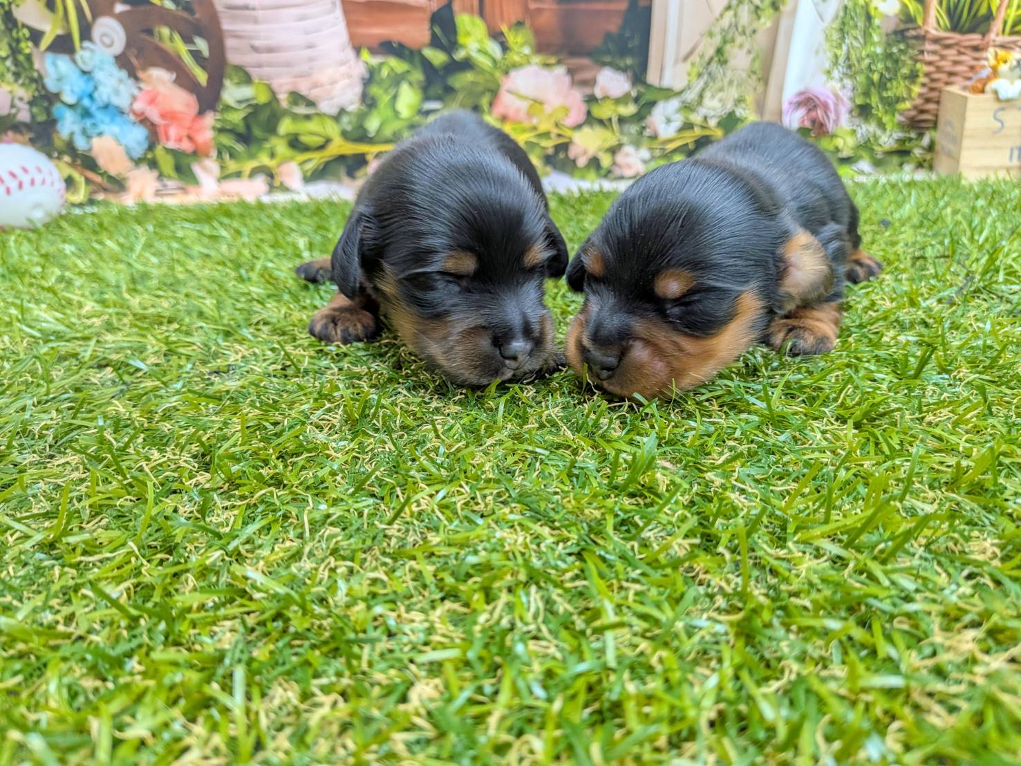 赤ちゃん写真1-3