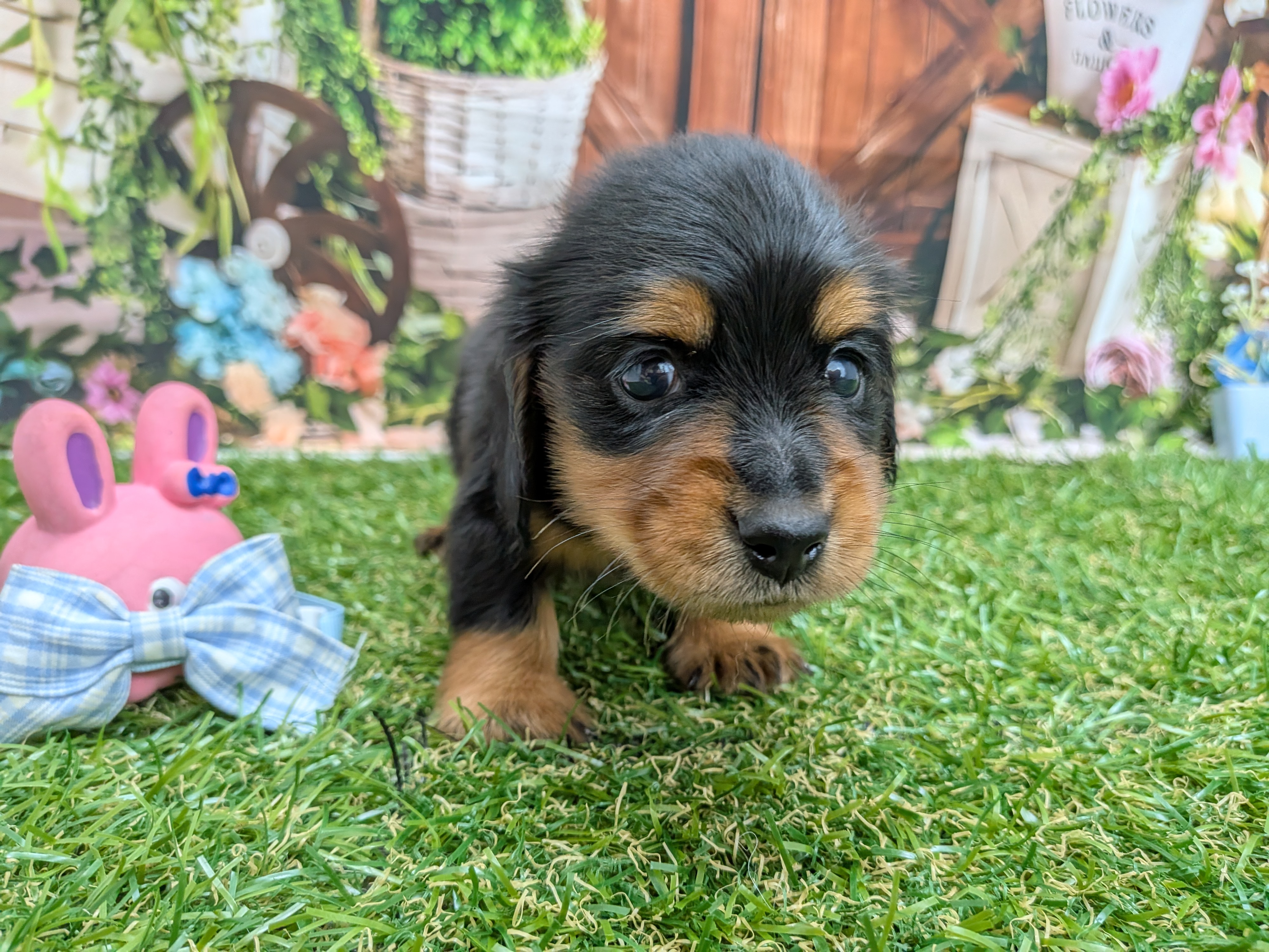 赤ちゃん写真2-1