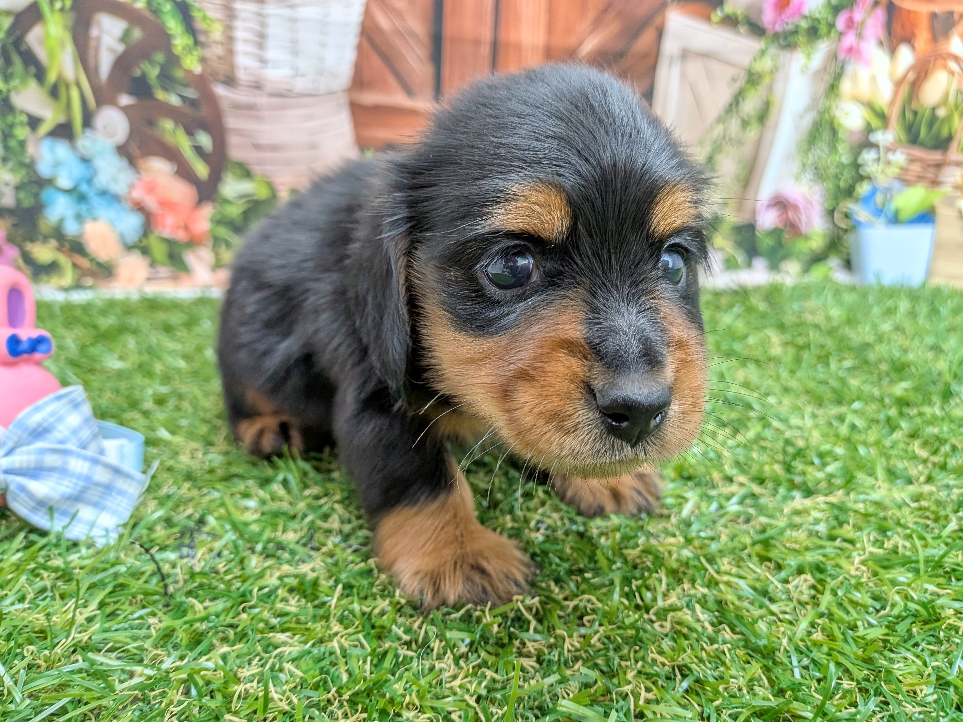 赤ちゃん写真2-2