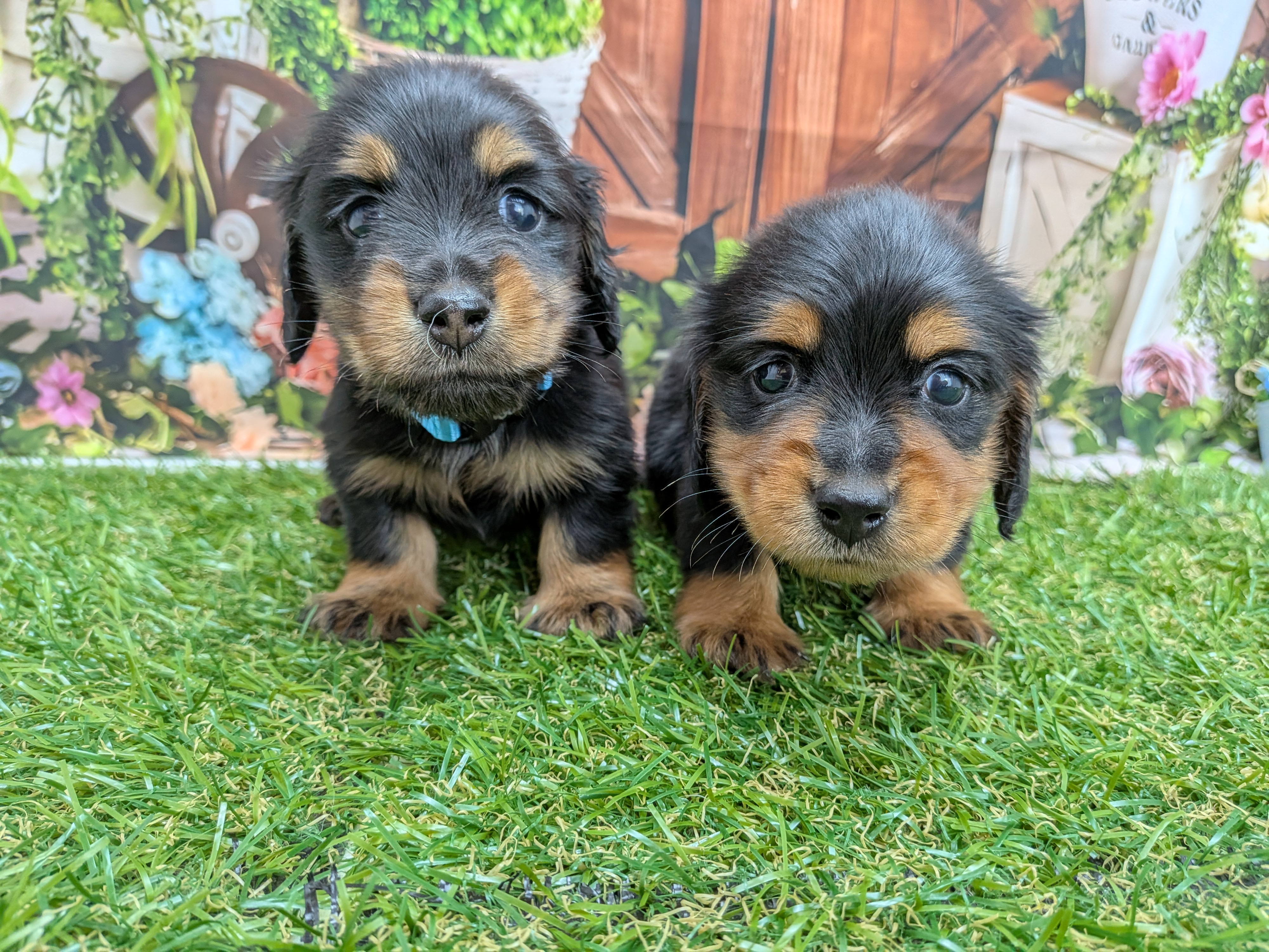 赤ちゃん写真2-3