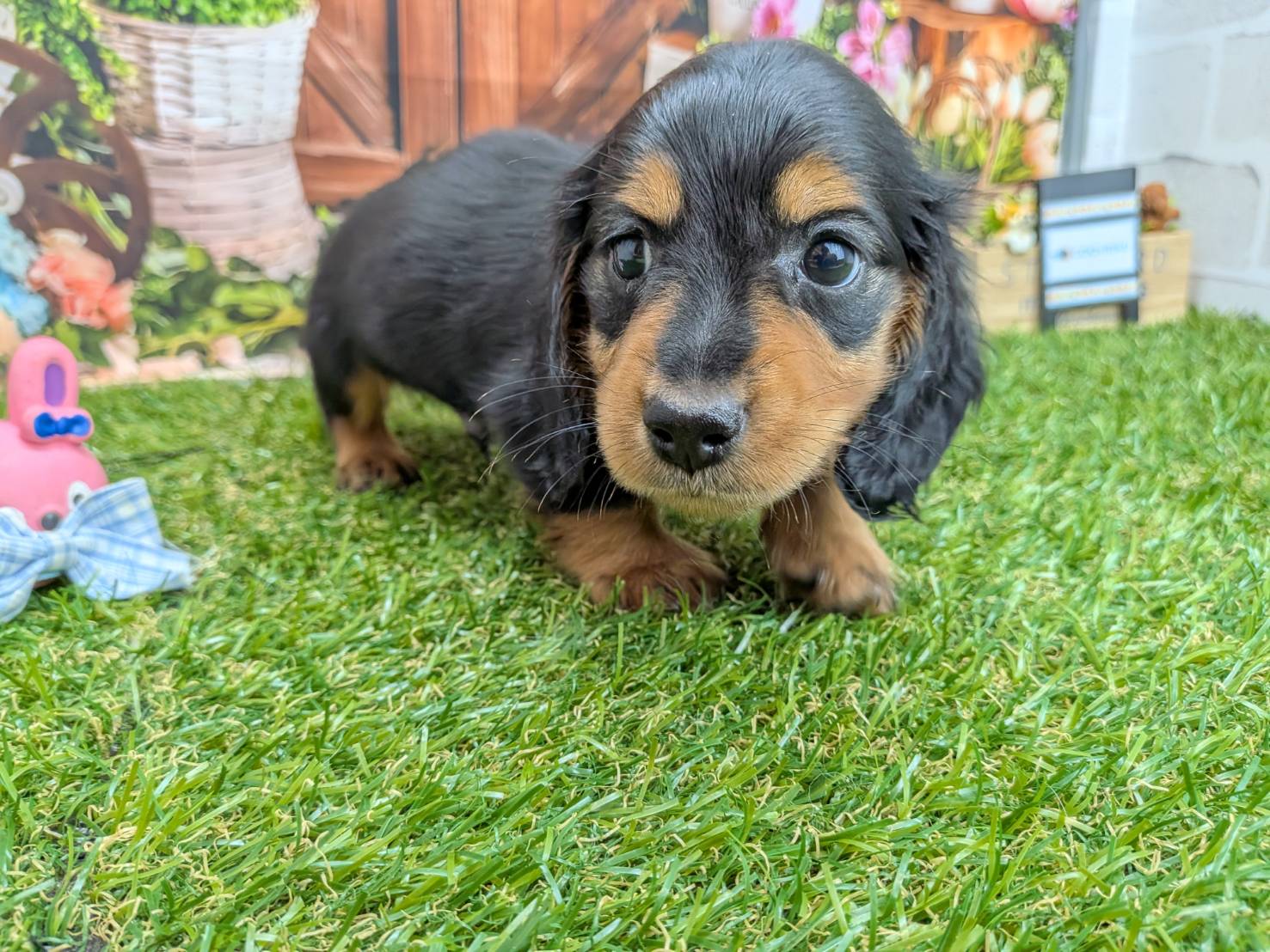 赤ちゃん写真3-1