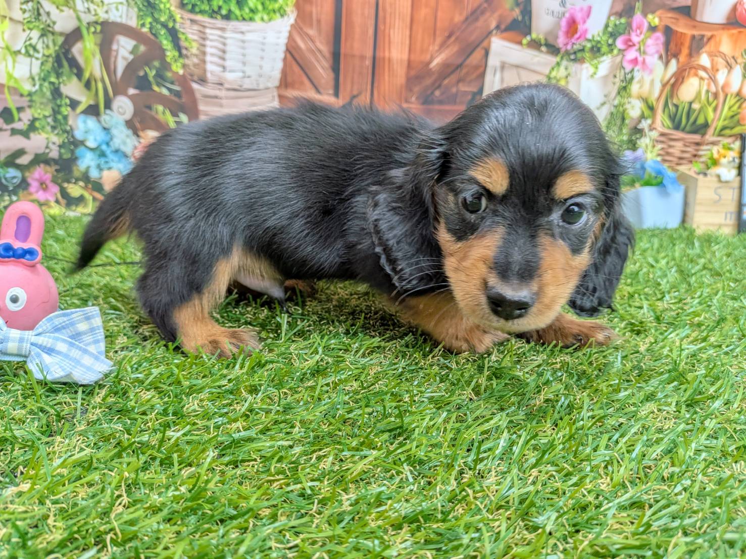 赤ちゃん写真3-2