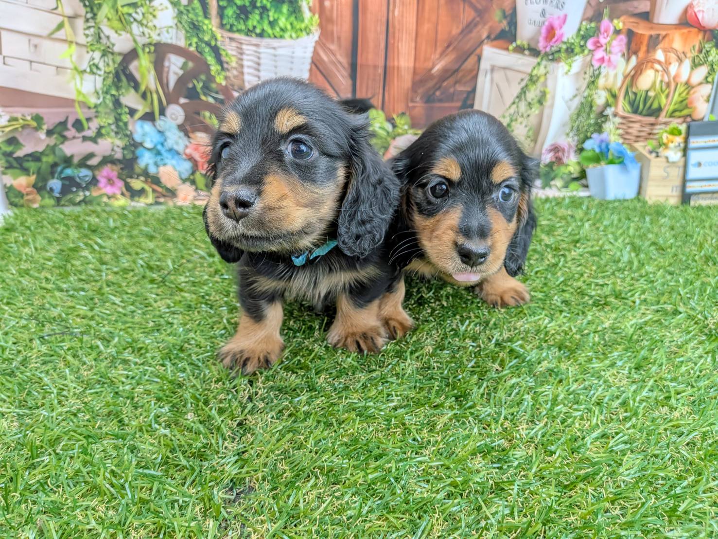 赤ちゃん写真3-3