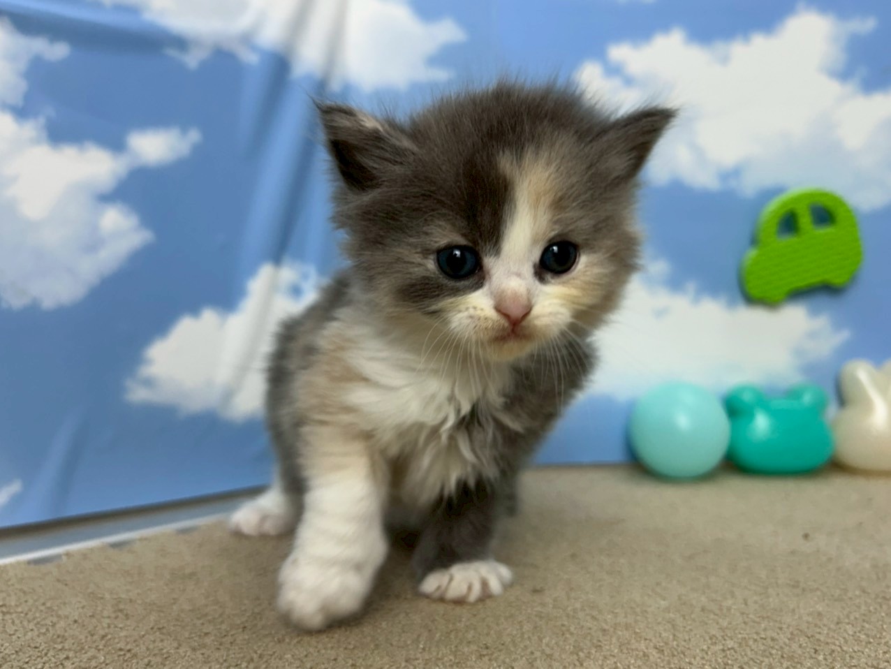 赤ちゃん写真1-1