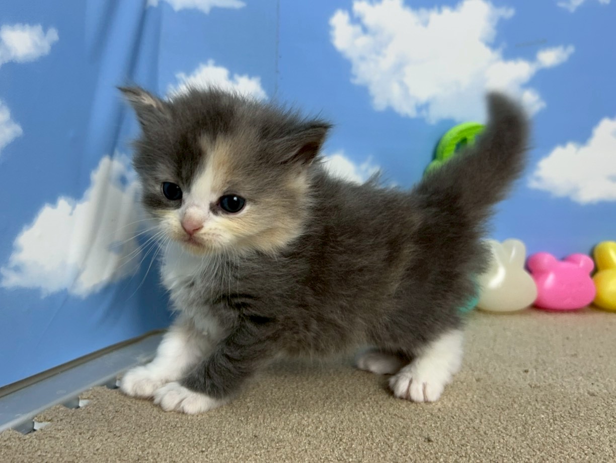 赤ちゃん写真1-2