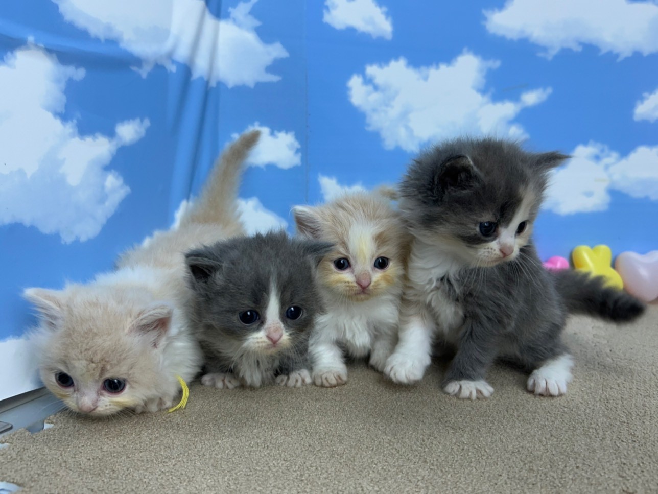 赤ちゃん写真1-3