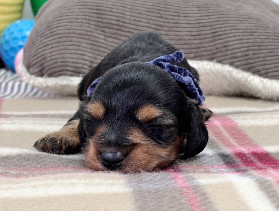 赤ちゃん写真1-1