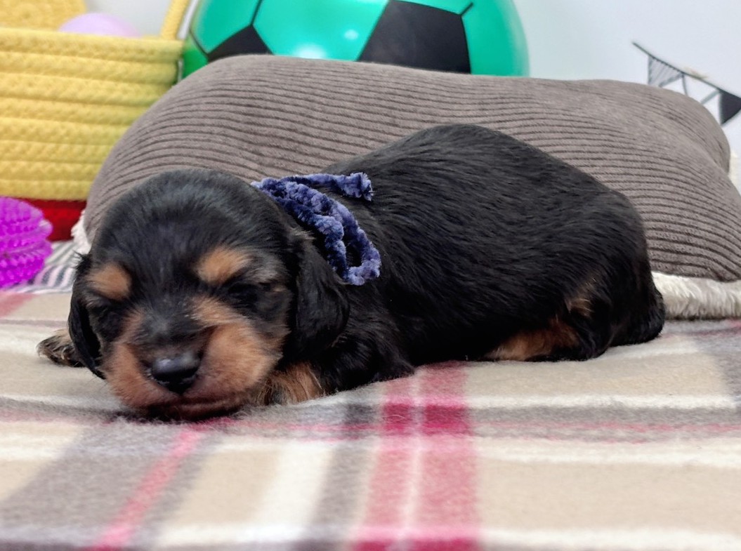 赤ちゃん写真1-2