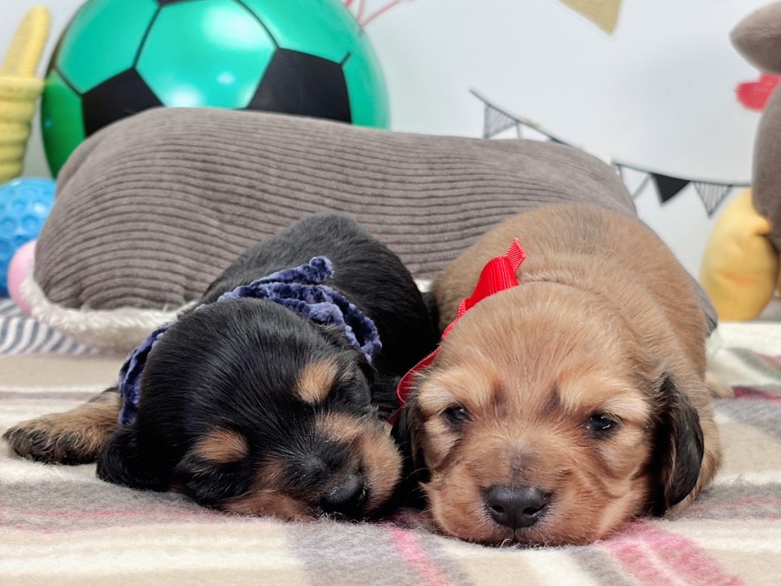 赤ちゃん写真1-3