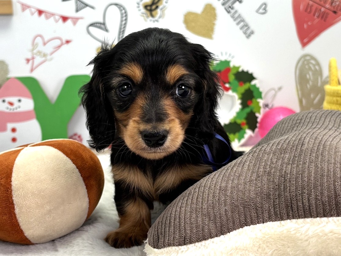 赤ちゃん写真2-1