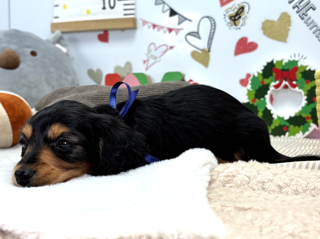 赤ちゃん写真2-2