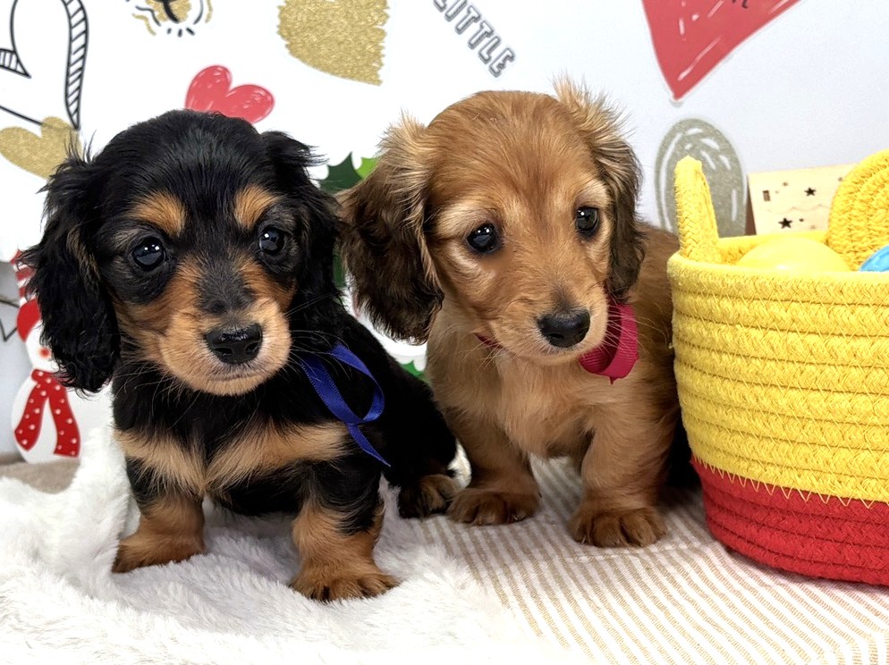 赤ちゃん写真2-3