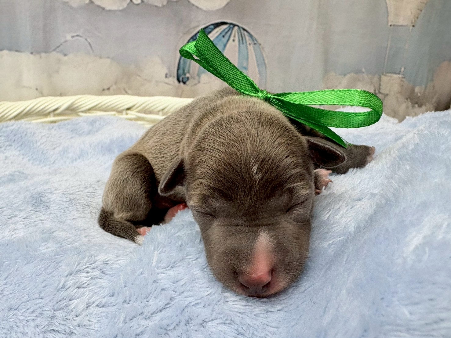 赤ちゃん写真1-1