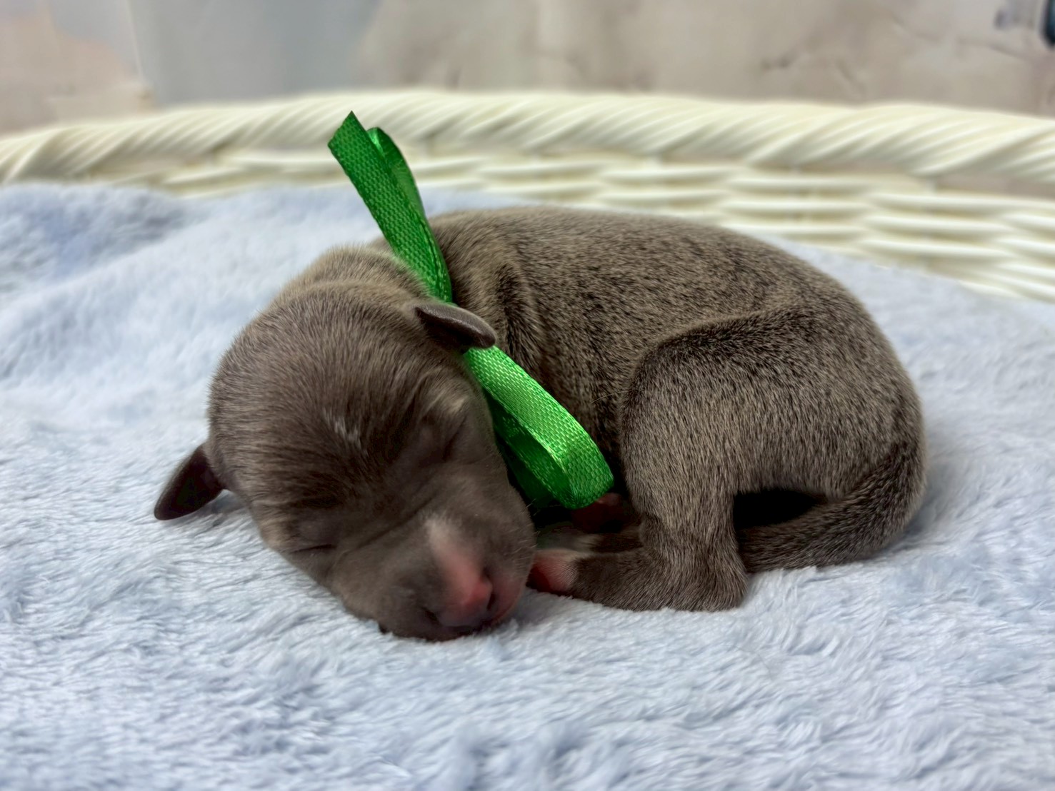 赤ちゃん写真1-2