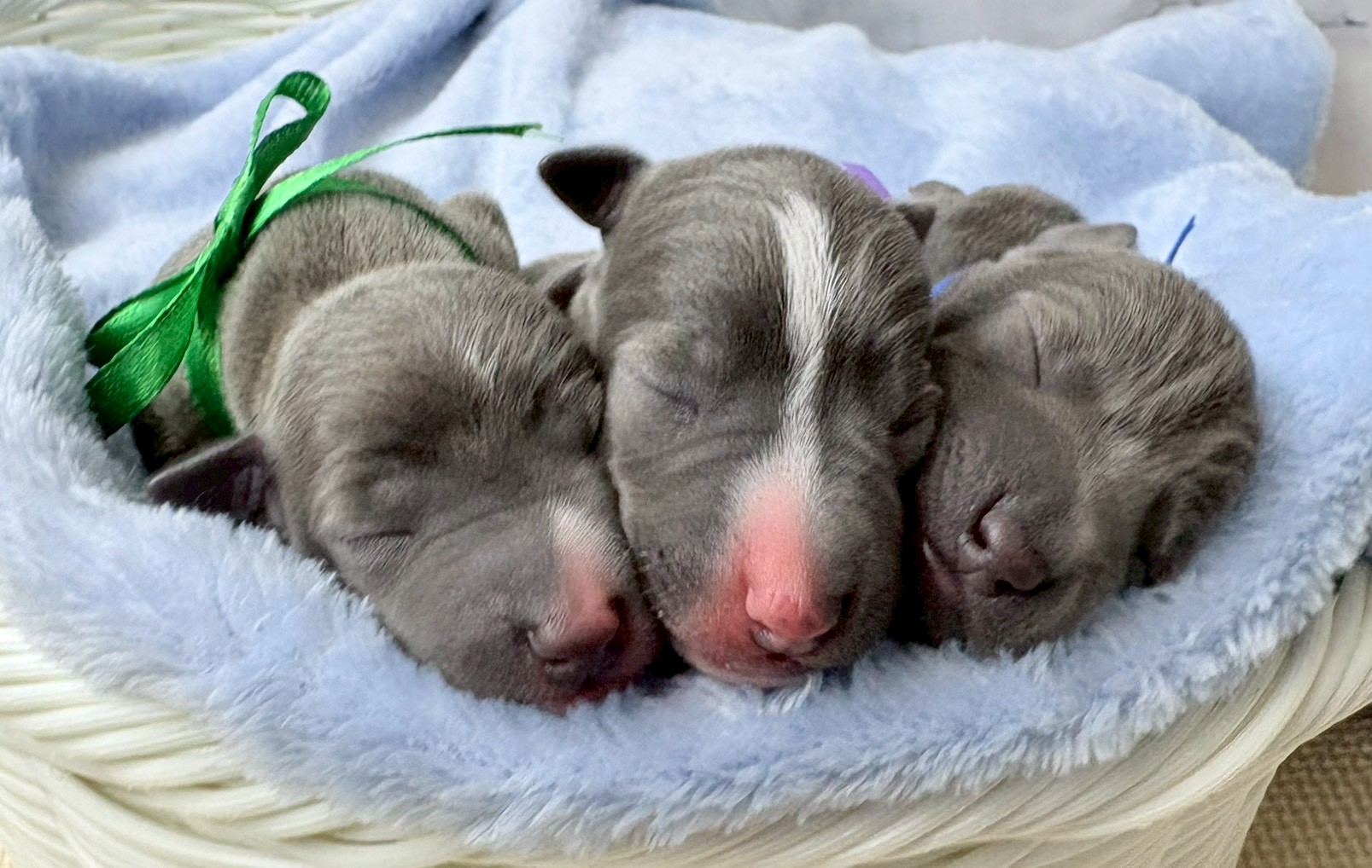 赤ちゃん写真1-3