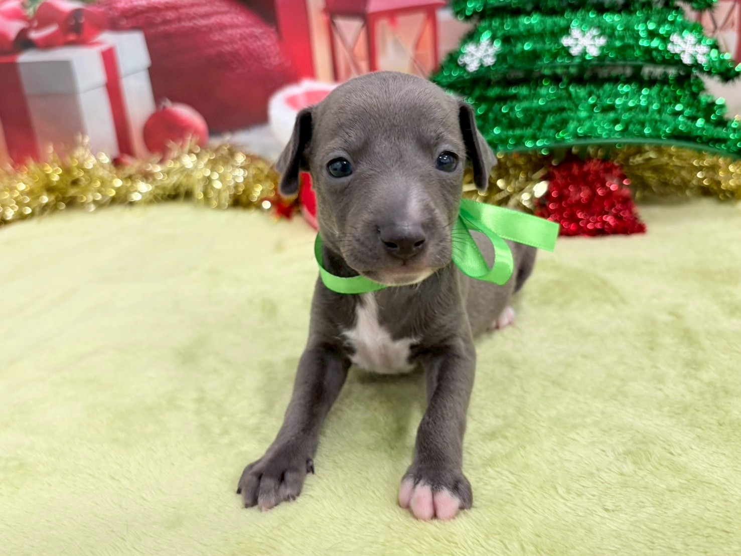 赤ちゃん写真2-1