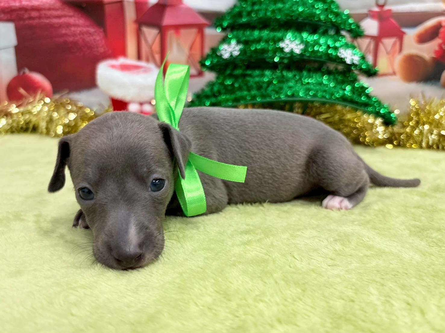 赤ちゃん写真2-2