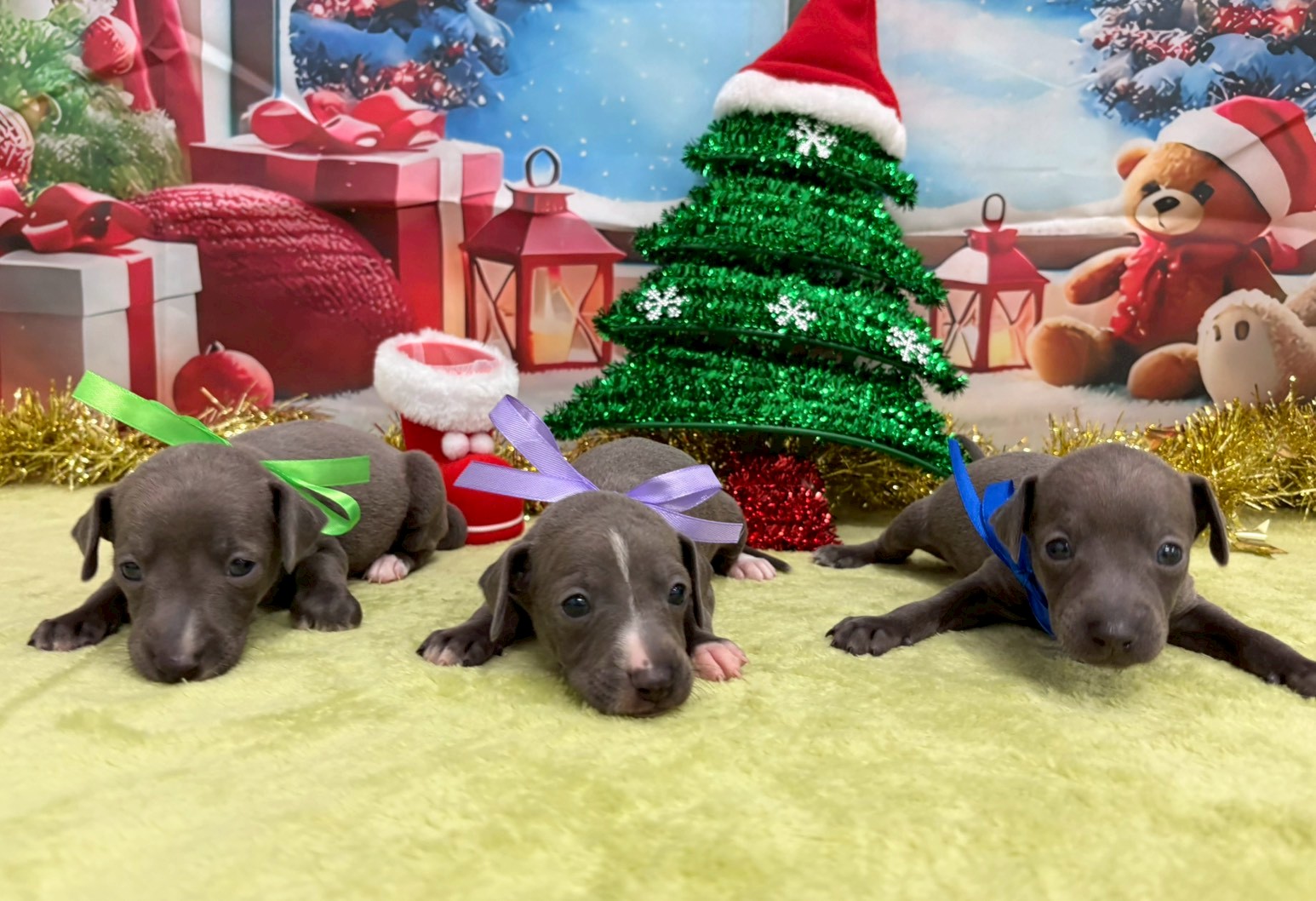 赤ちゃん写真2-3