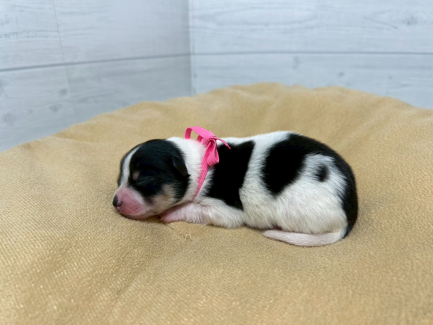 赤ちゃん写真1-2