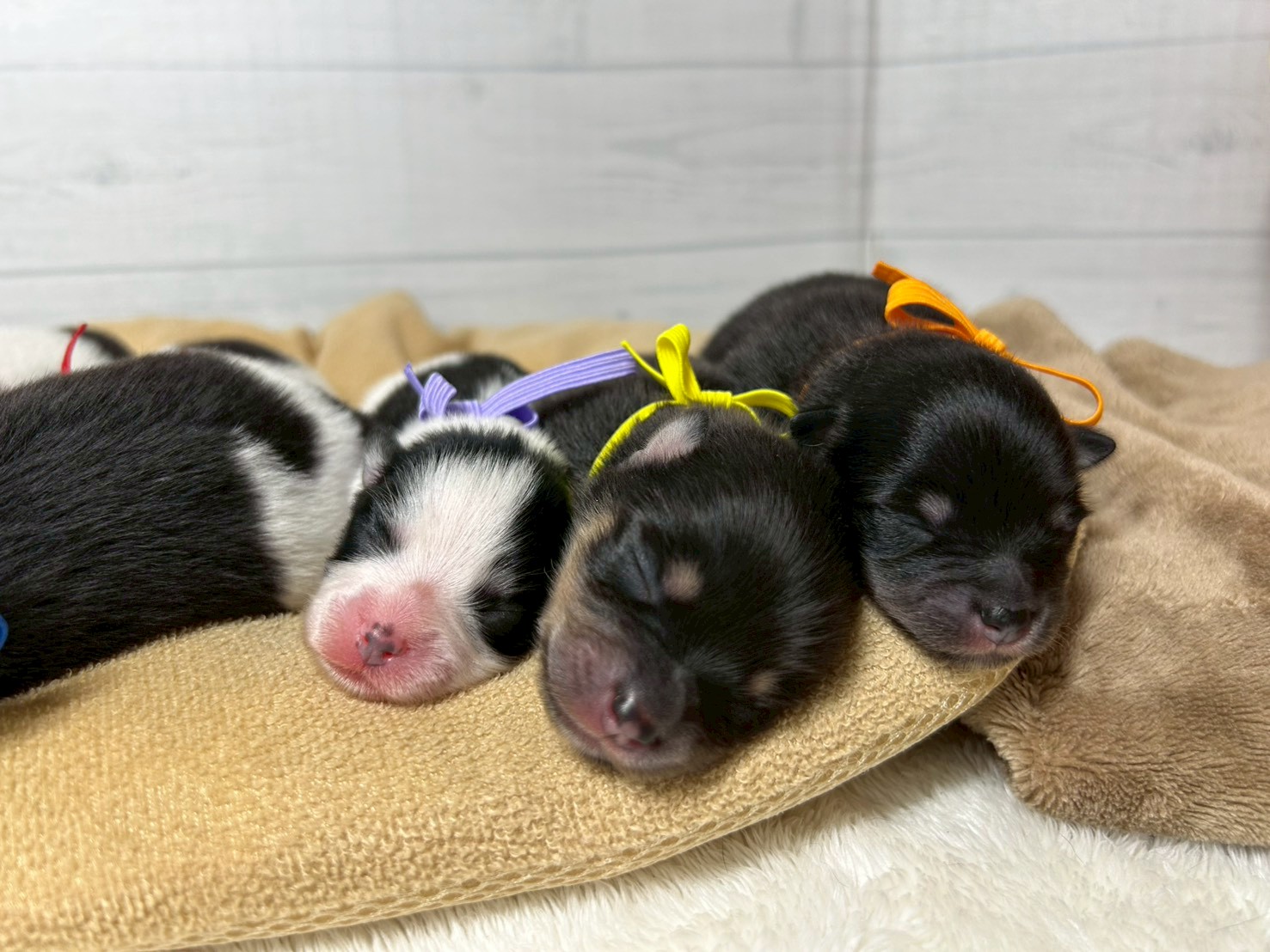 赤ちゃん写真1-3