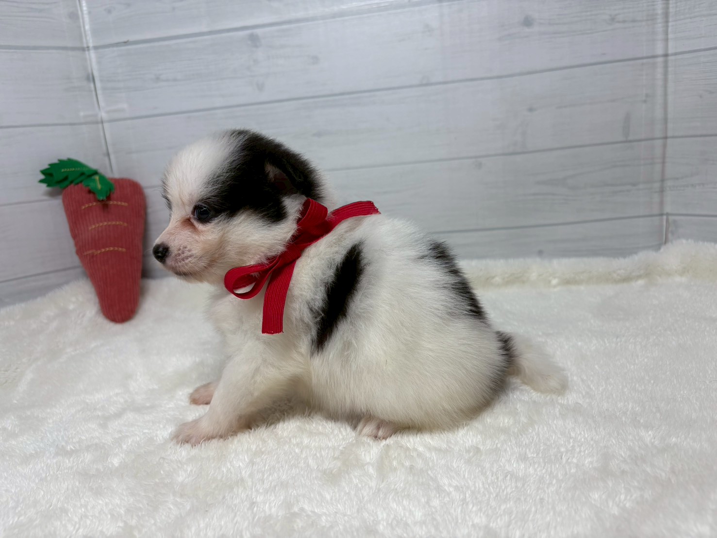 赤ちゃん写真2-2