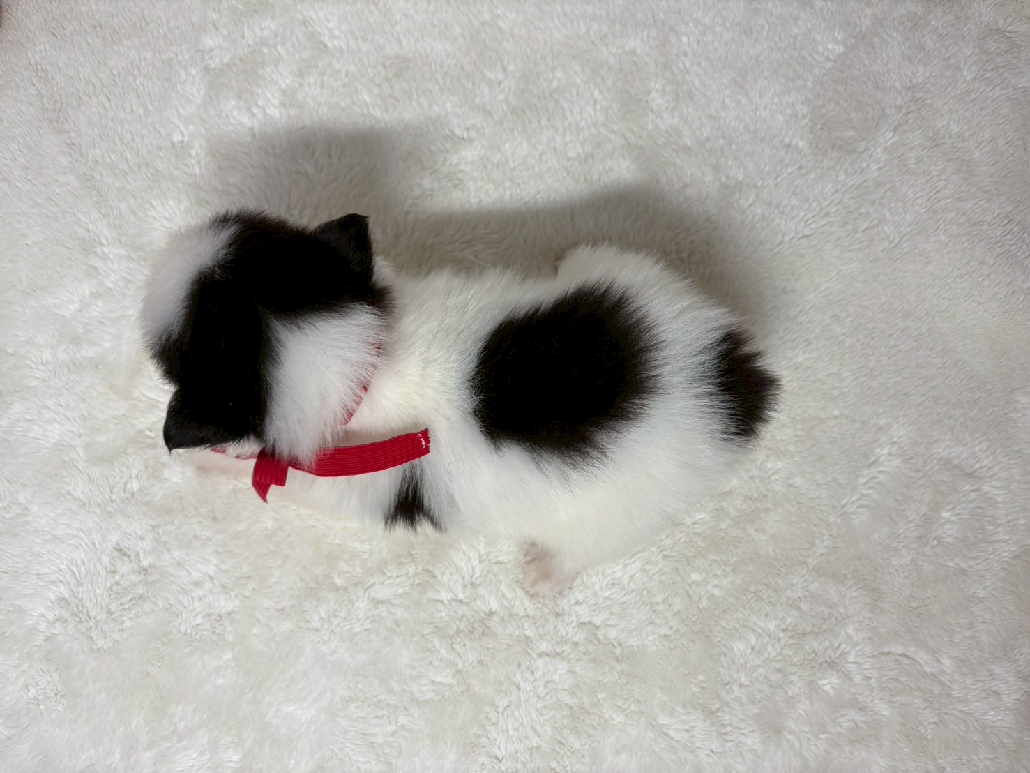 赤ちゃん写真2-3