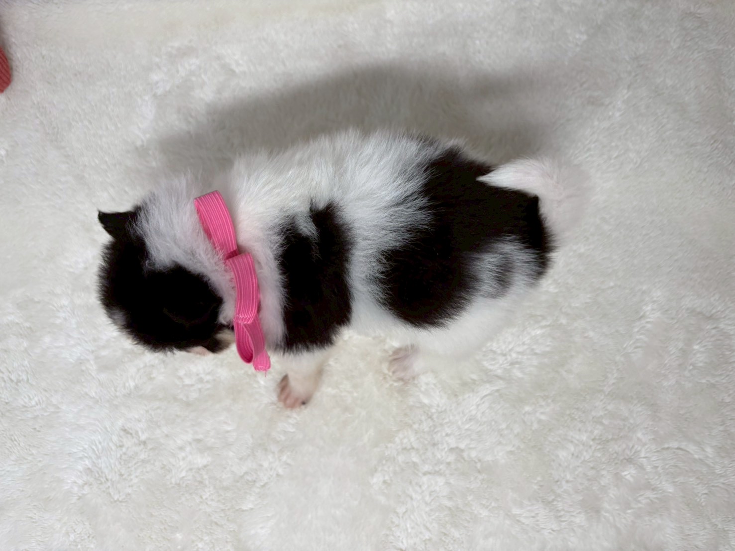 赤ちゃん写真2-3