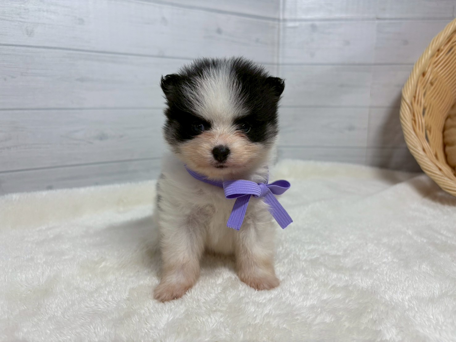 赤ちゃん写真2-1