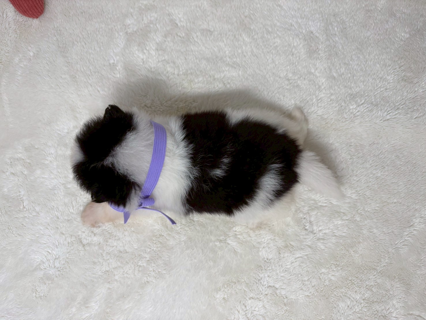 赤ちゃん写真2-2