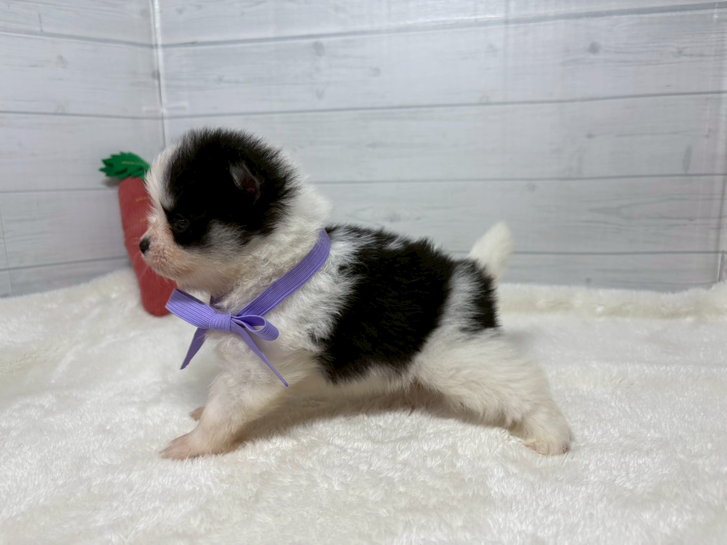 赤ちゃん写真2-3