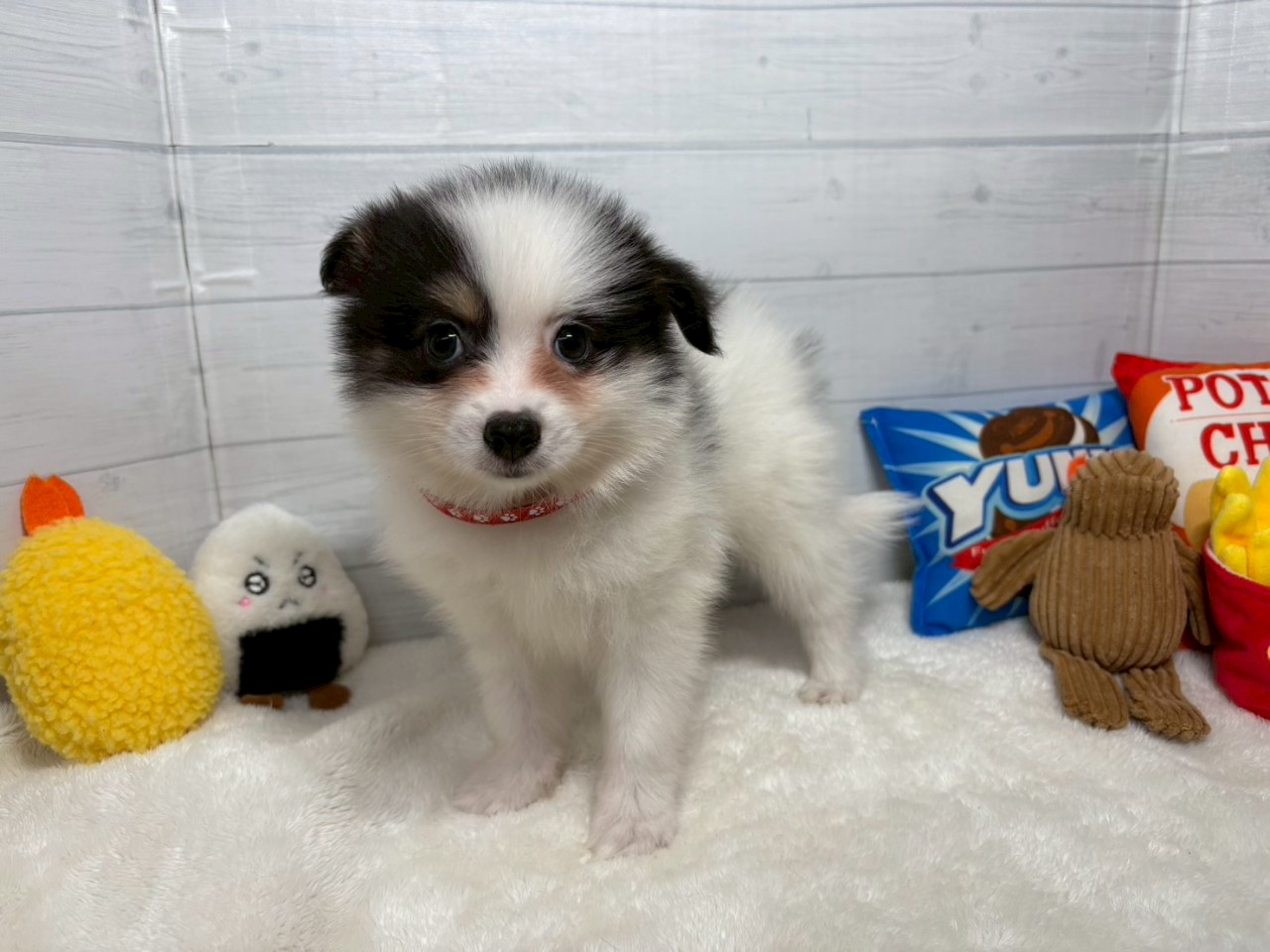 赤ちゃん写真3-1