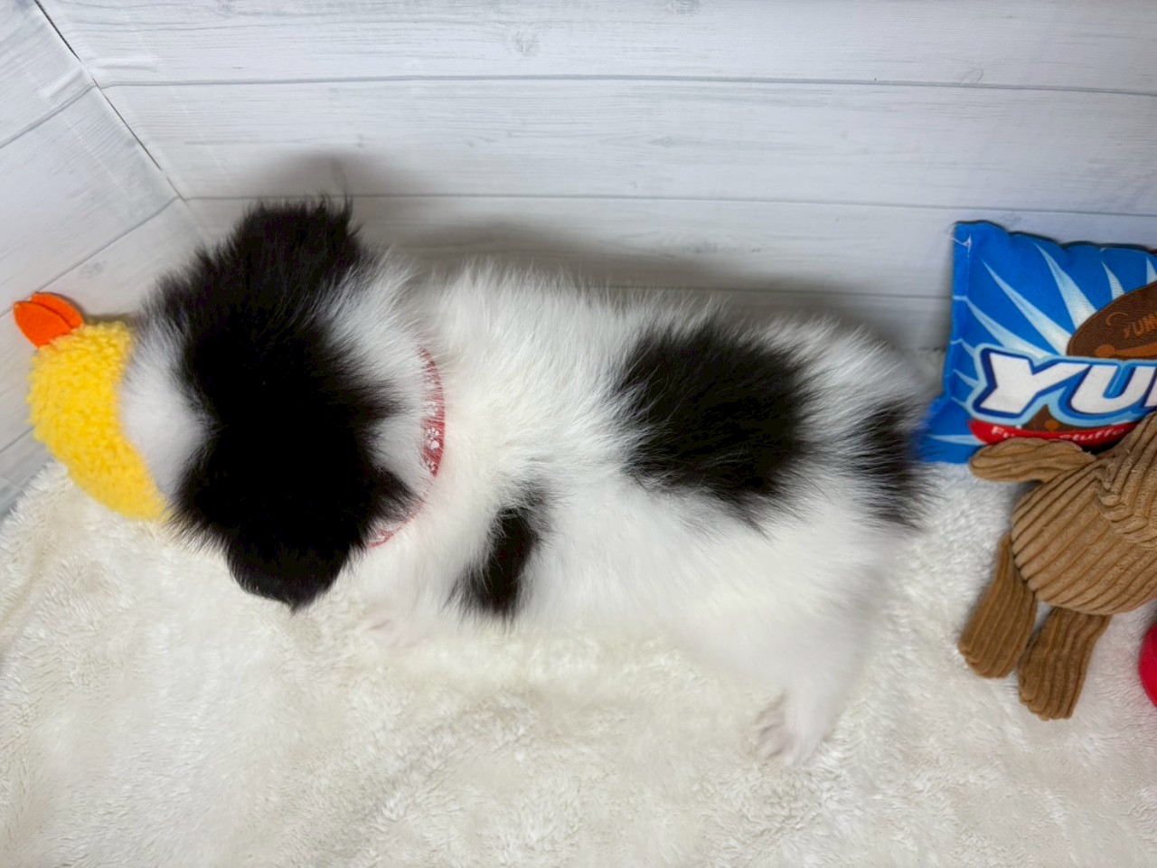 赤ちゃん写真3-3