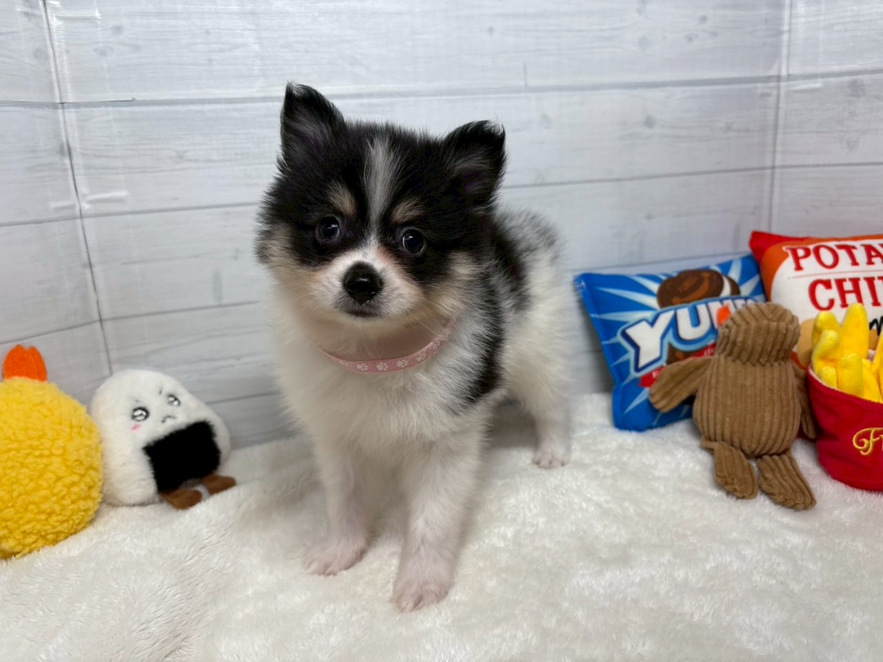 赤ちゃん写真3-1