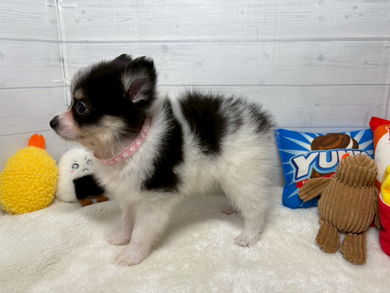 赤ちゃん写真3-2