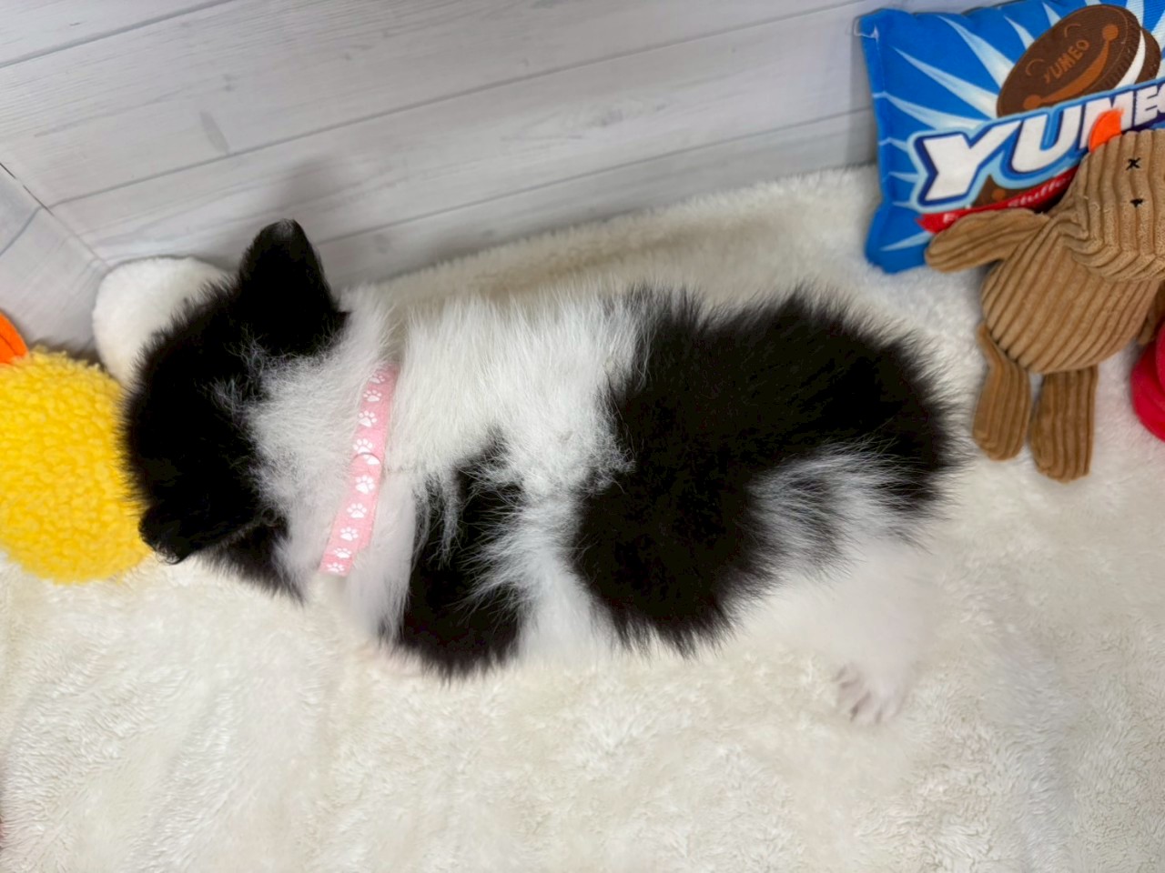 赤ちゃん写真3-3