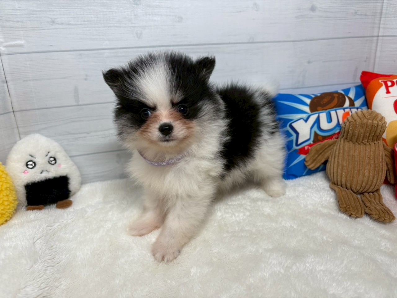 赤ちゃん写真3-1