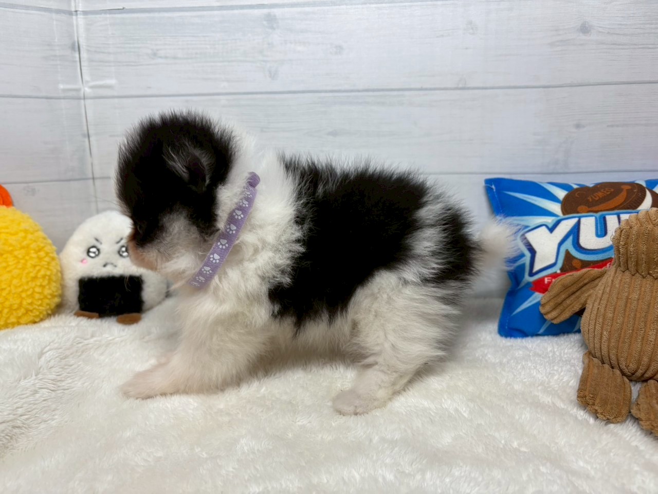 赤ちゃん写真3-2